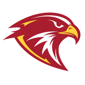 Fenwick Falcons logo